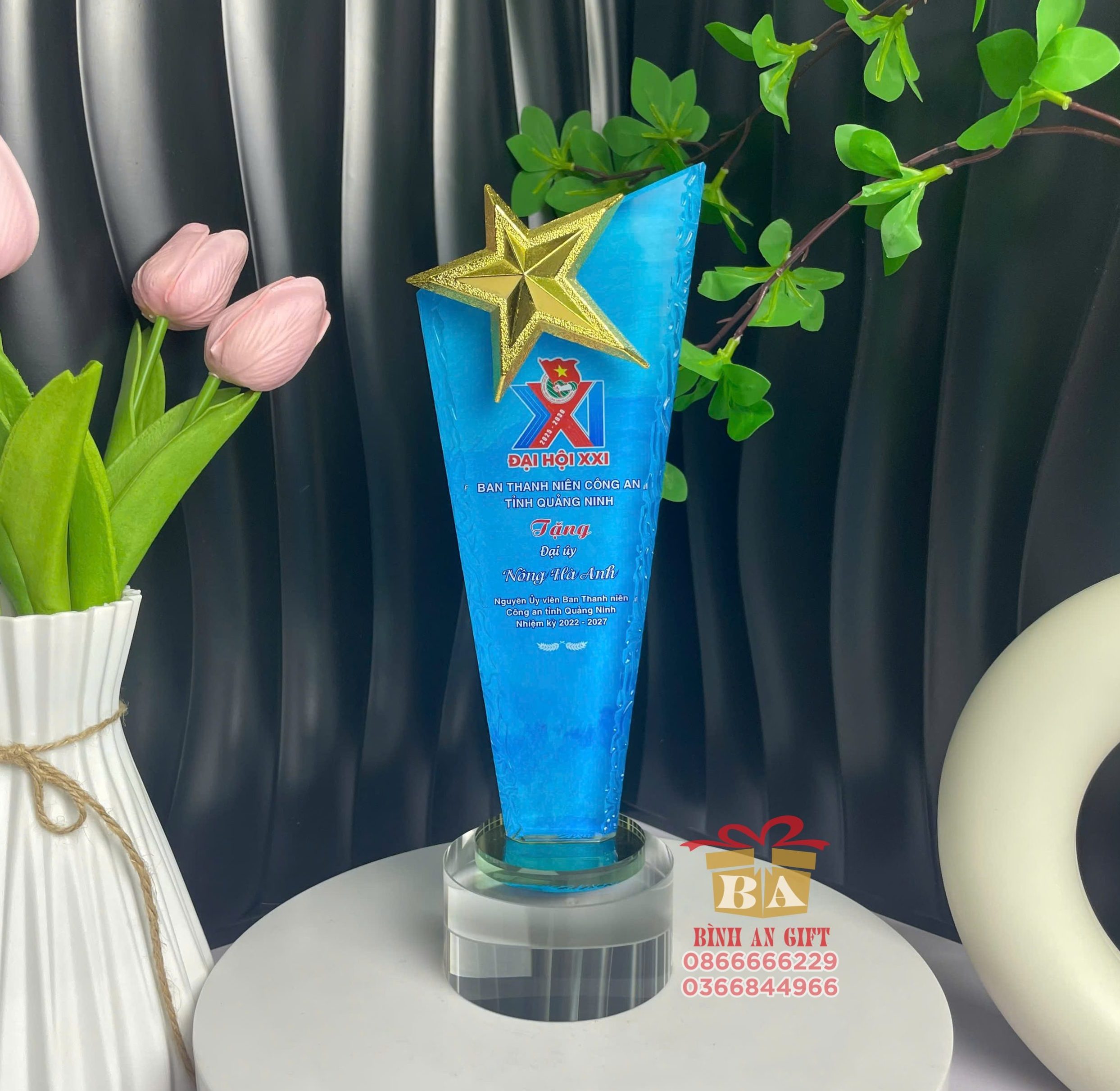 Cúp pha lê vinh danh N002